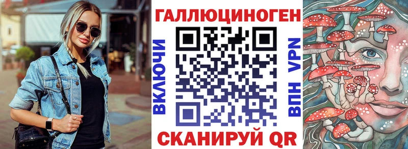 OMG вход  Циолковский  Псилоцибиновые грибы Magic Shrooms 